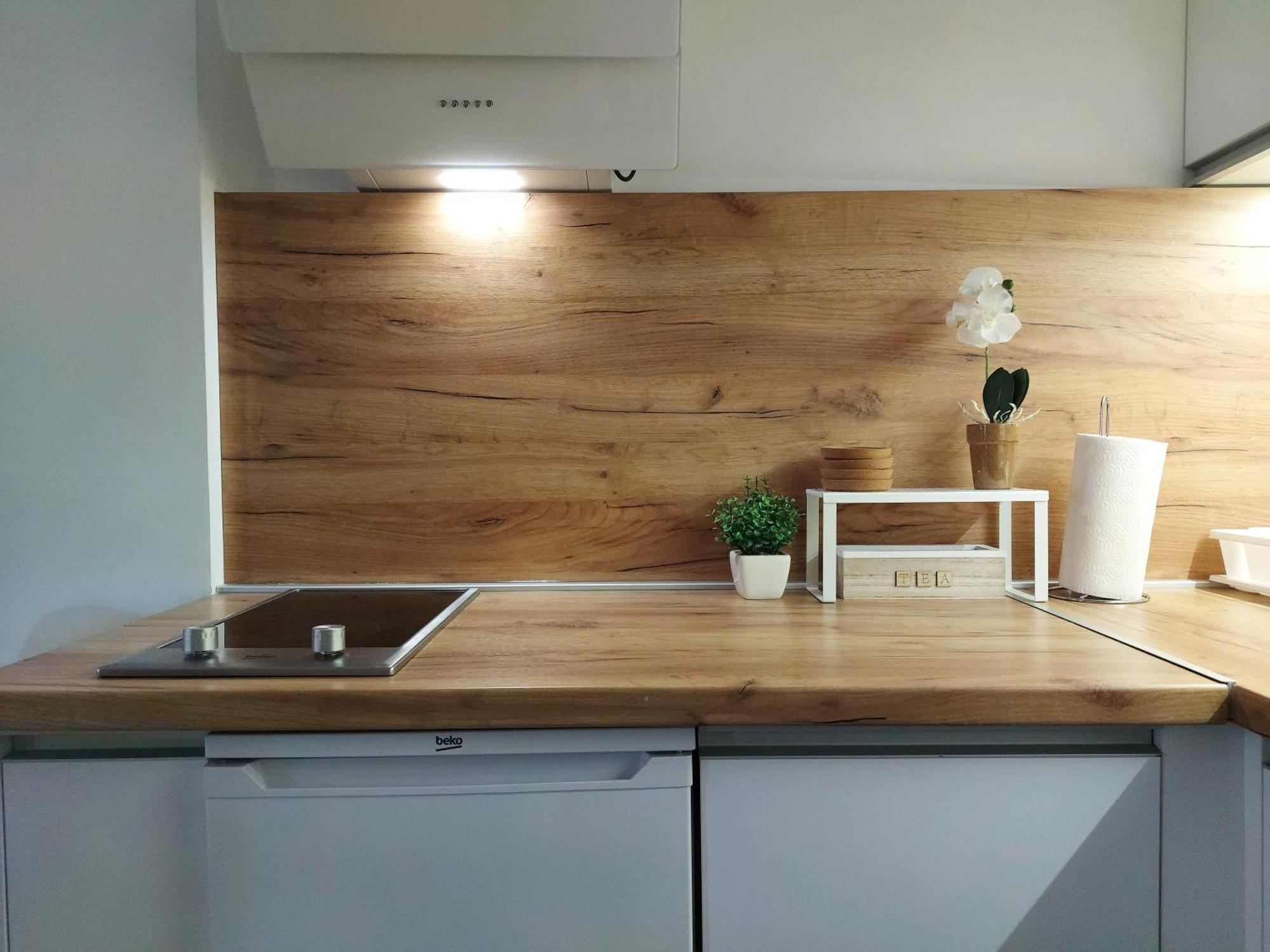 Carpe Diem Apartment Zlatibor